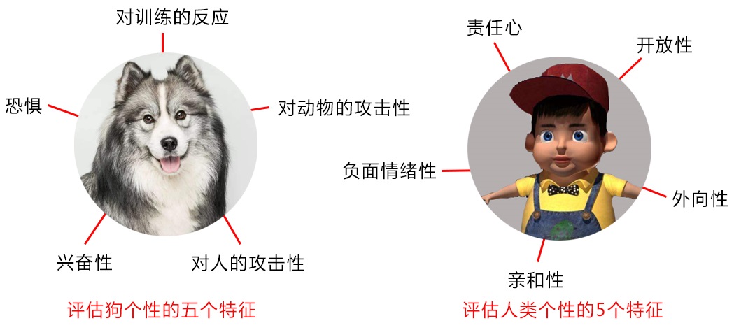 “狗如其主”不是一句玩笑话，为什么有些狗会跟它的主人很像？