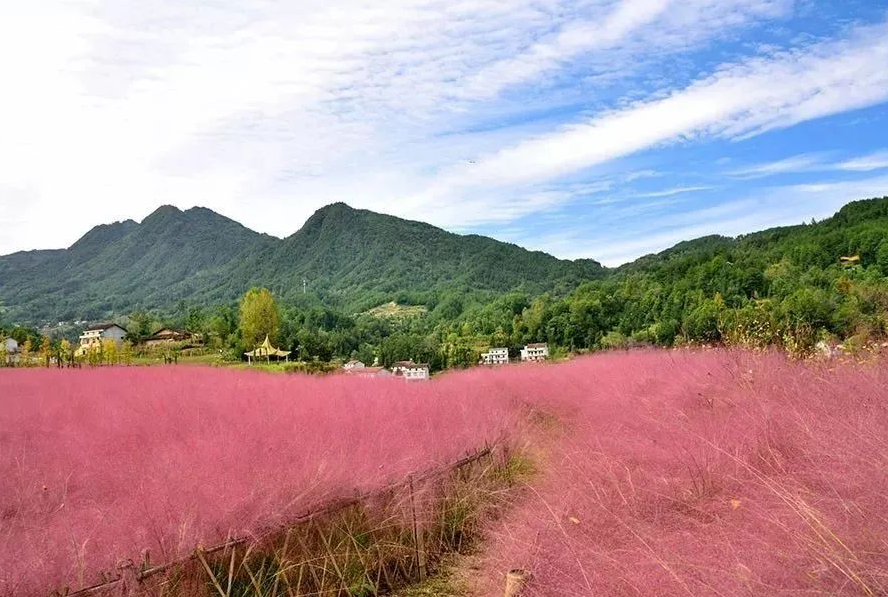 这里出现了一个又一个爆款秋景，个个惊艳，赶紧去看看吧！
