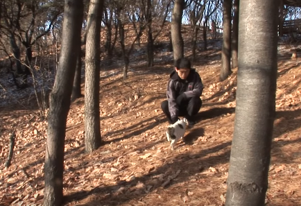 一只猫独自在山上生活了三个月，有人想带它走，它却拒绝离开！