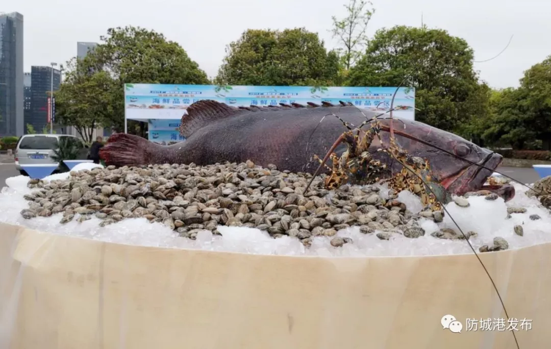 山相连 水相依 | 防城港的无限魅力，尽在贵阳中散发