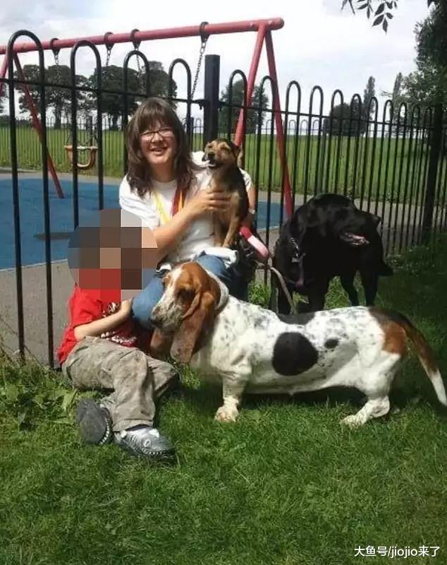 职业遛狗者在殴打客户的狗时被拍下……法官是这样判决, 网友大赞