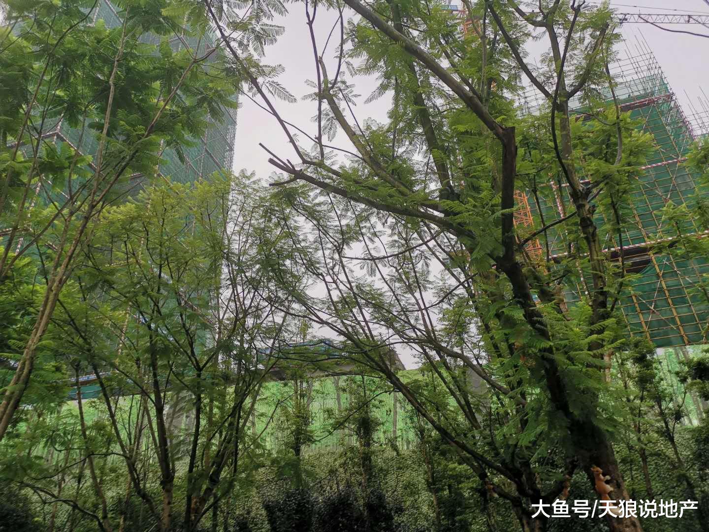 恩施房协出台稳定房地产市场通知，说明了什么？