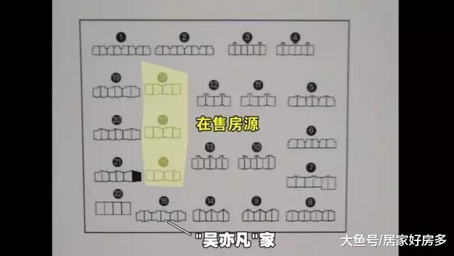 新星宇——萝卜快了不洗泥。