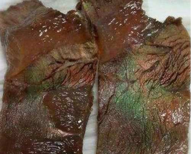 熟牛肉有种“绿光”到底能不能吃？爱吃牛肉的人你知道吗？