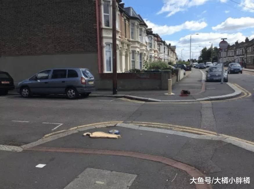 女子在路口发现一只猫，男子却站在不远处偷看，环卫大妈道出实情