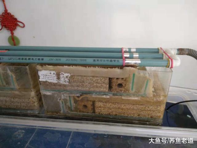 朋友送給我一個舊魚缸我準備以下的方法消毒，大家看行嗎？