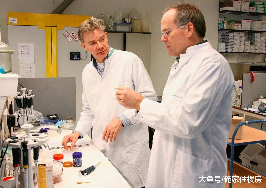 李嘉诚、比尔盖茨都投资“人造肉”，相信很快就能吃到人造狗肉！