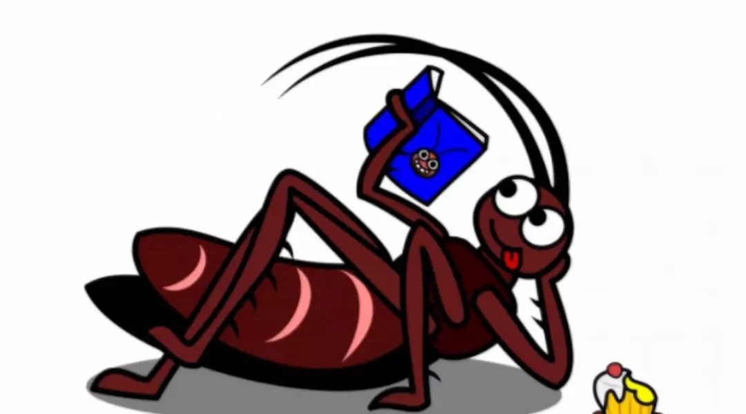 蟑螂竟然不能用脚踩？！新加坡小强多，是因为你