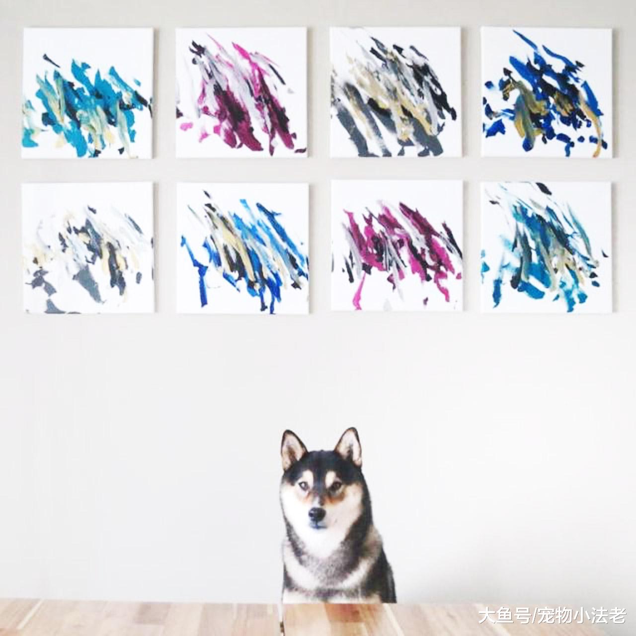 狗界“毕加索”，卖画收入高达30000元，主人：我还不如1只狗！