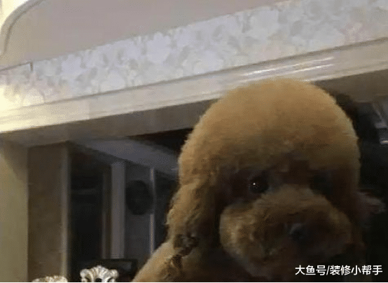 参观杨紫的千万豪宅，独栋别墅真霸气，内部空间更加豪华