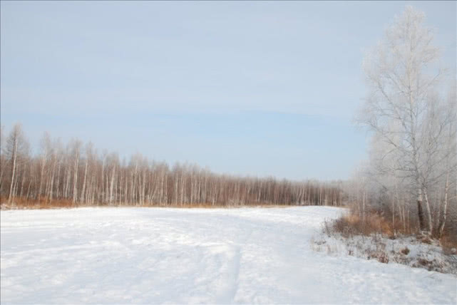 黑龙江人均工资最少的两个城市，鸡西、伊春落榜，连租房都是问题