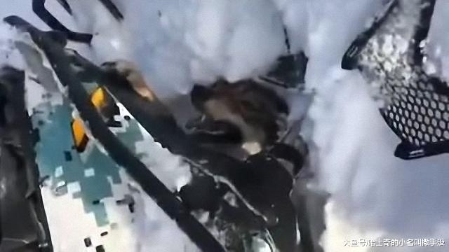 雪地摩托车撞了一头狼，狼被压在车底下，可是我不敢把狼放出来啊
