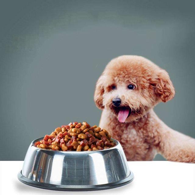 泰迪犬的这5件“心头宝”，不想被咬最好别碰