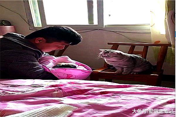 银渐层第一次见到小主人，小心翼翼地拿手碰宝宝的衣服，太有爱了