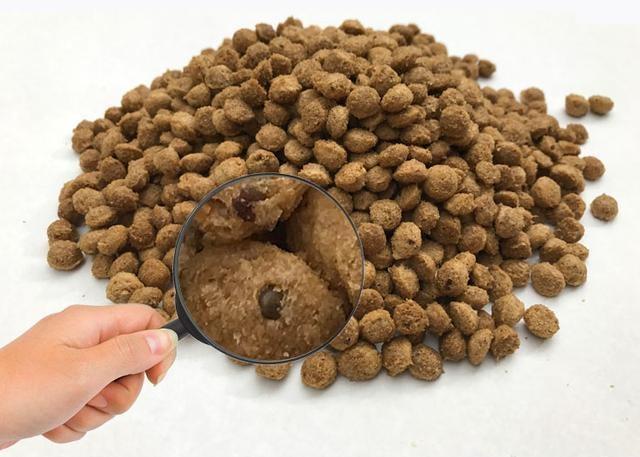 宠主和狗狗互动的5种方式，可以让狗狗更爱你