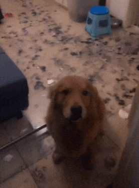 女子下樓倒垃圾，回家后看到眼前的畫面，默默走進廚房找菜刀