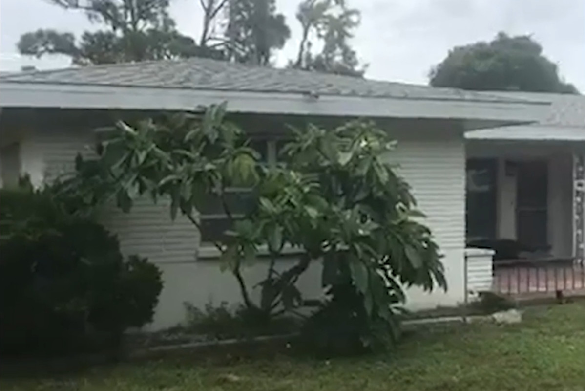 看到爱犬被鳄鱼叼走，宠主不顾生死跳下水扒开了鳄鱼嘴……