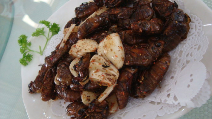 果香金针炒鹿肉，招待客人必备的硬菜，全家一锅都不够吃