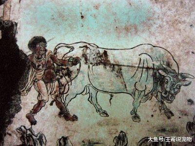 从昆仑奴、新罗婢、僧祇奴和胡姬，聊一聊唐代的外国奴隶