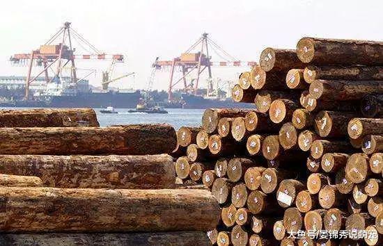 日本不但不砍树还从中国进口筷子? 我们原来被骗了这么多年