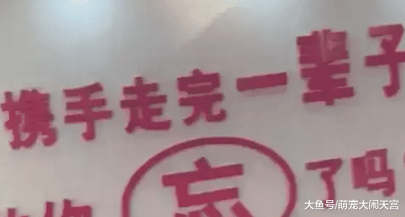 民政局离婚现场标语亮了，看到想流泪，网友：民政局真的尽力了！