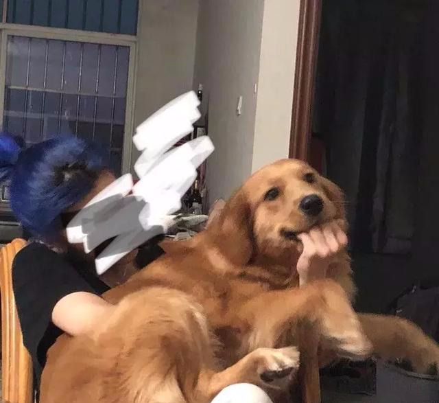 和男朋友去酒店的经历，凌晨12点，尴出冷汗的一幕发生了！