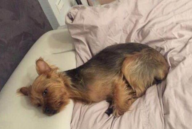 晒晒何润东一家人住的豪宅，家里走廊像酒店一样，光卧室就十几间