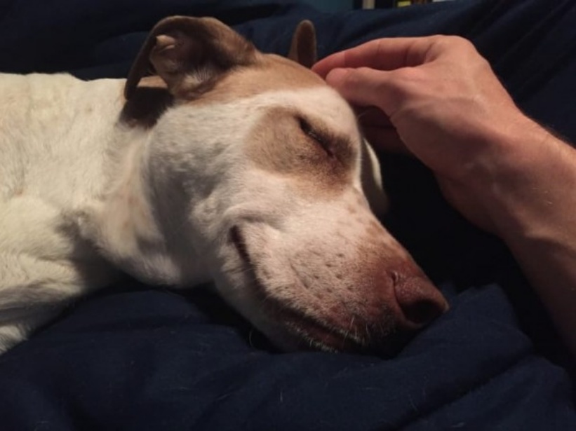 “小主人，祝你平安出生哦！”幸福是什么？平凡的宁静就是幸福