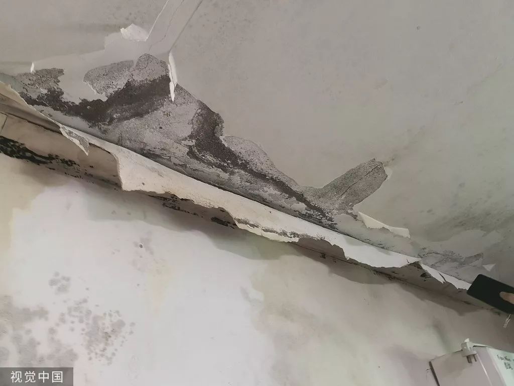 满墙裂缝的问题小区是怎么评上“优质工程奖”的｜新京报快评