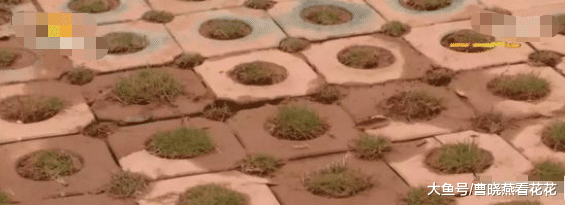 湖南一楼盘人工湖竟是画出来的，网友调侃：业主们都会轻功水上飘