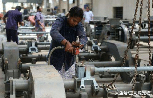 印度无法超越中国？不要再被骗了，这三个领域已经走到中国前面