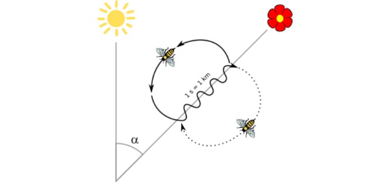你能读懂小丑鱼的身体语言吗？竟然有这么多不为人知的含义！
