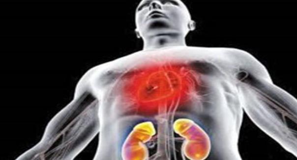 男人晨起后，坚持做好3个动作，你的肾或许一天比一天强壮！