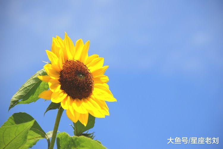 10月24号一过，大运缠身，收入翻倍，尽享大贵的3个生肖