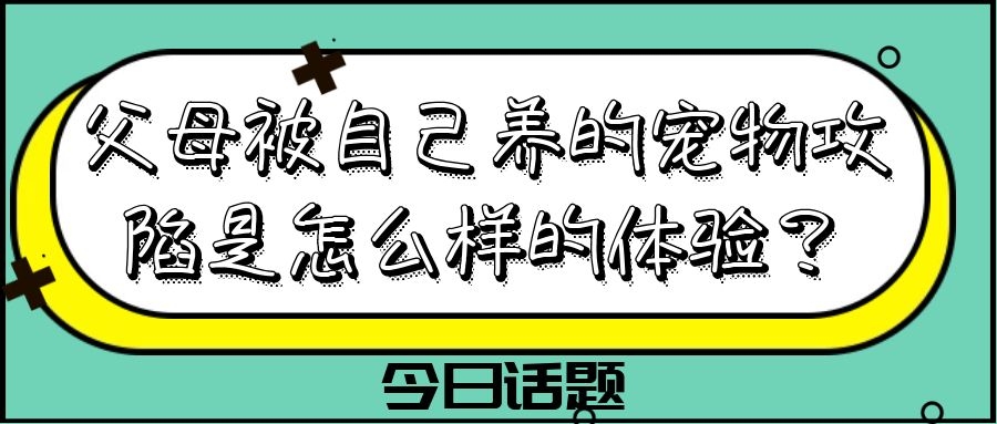 流浪猫咪被带回家，精心照料后模样大变，霸气眼神却一点不改