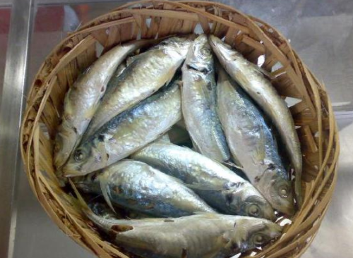 刘伯温去世前为何送给朱元璋一筐鱼，以致让朱元璋17年后才明白？