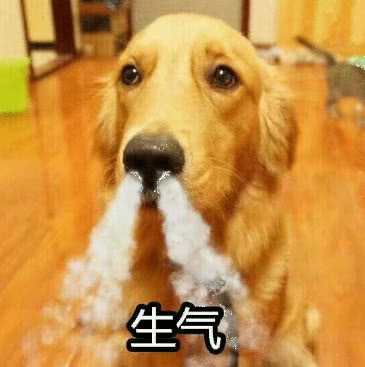 主人想当美发达人，拿自家狗狗练手，看到结果，主人自己笑喷了