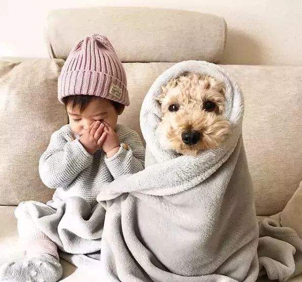 宝宝与狗狗不能共存？专家说，狗狗的存在让宝宝更健康