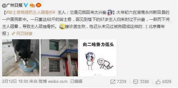 當鏟屎官有多危險，看看這位鏟屎官你就知道了……
