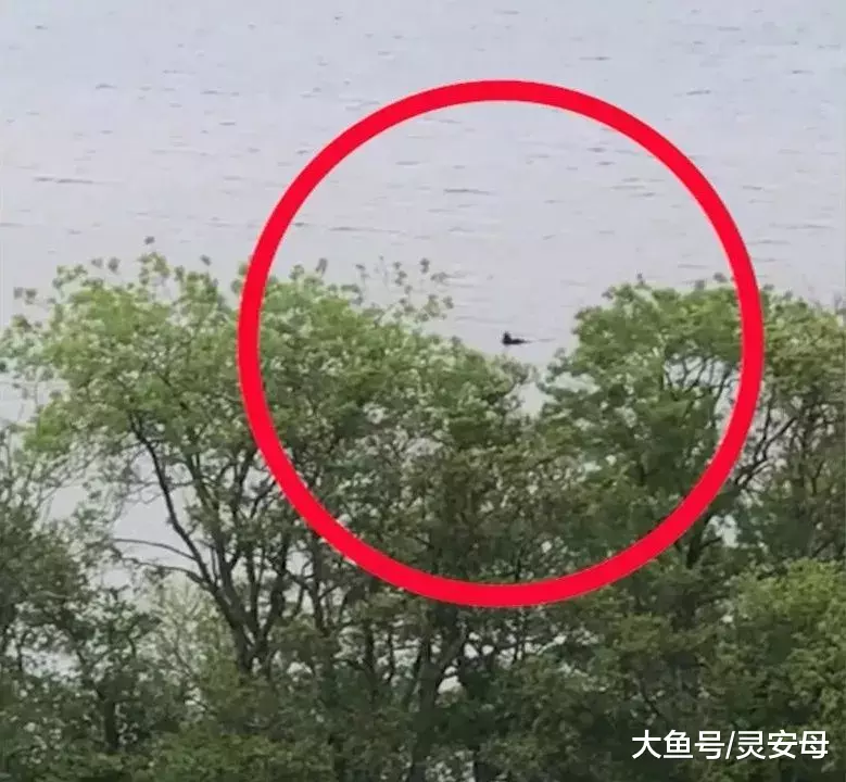 尼斯湖水怪又现身了，它是真实存在的吗？