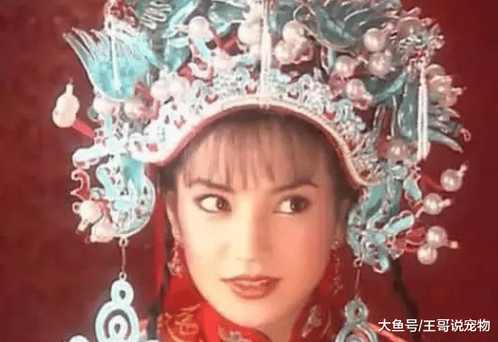 灵儿掀盖头我忍了，小燕子掀盖头我也忍了，看到贝微微我忍无可忍
