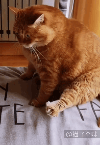 这个吻的味道有点上头