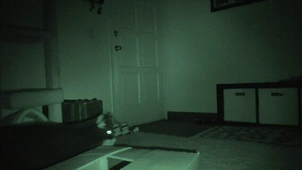 想知道晚上睡着后猫在干什么，铲屎官装上摄像头拍下了猫咪的神秘夜生活