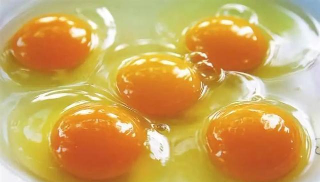 狗狗应该吃生鸡蛋还是熟鸡蛋？