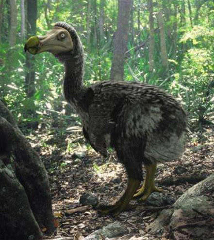 世界上“人为导致”灭绝的七大物种，最后一种原本竟有50亿只