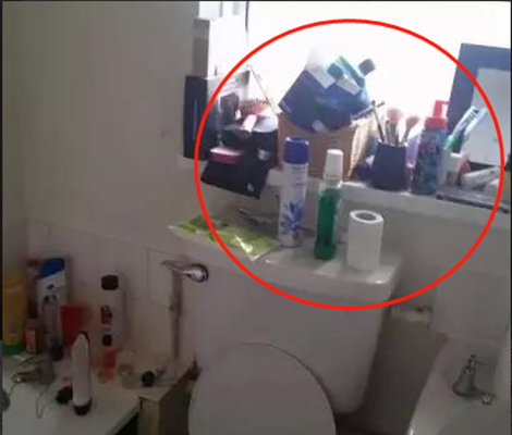 上海出差, 偶然发现一户人家阳台, 太有才! 连忙拍下回家照着装