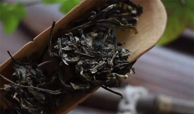 当“室内杀手”变成纸老虎，只需要三步！