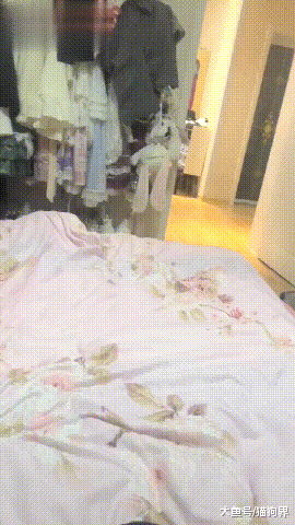 主人：過來吃東西啦！狗：來啦！主人：襪子誰咬的！狗：拜拜了您