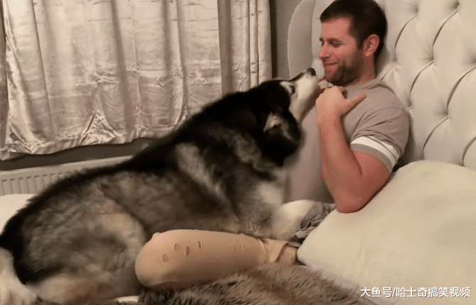 女主人派“胖兒子”去叫男主起床，結果卻發現他們是一伙的