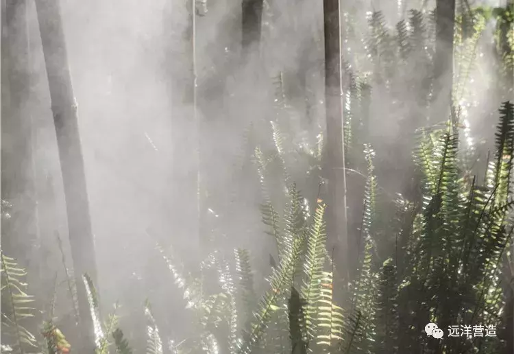 品质丨“健康建筑”首次入滇, 昆明远洋青云府解语“栖云之上”